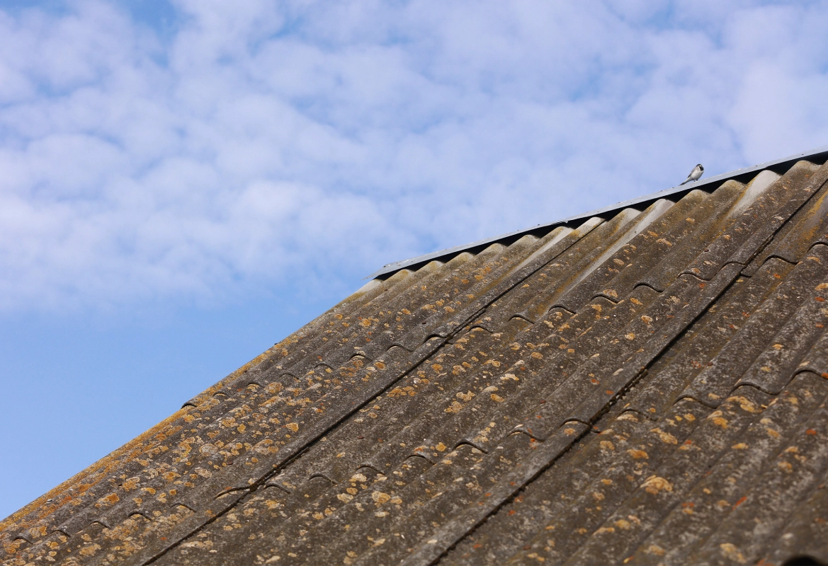 Old rooftop with clouded sky backdrop